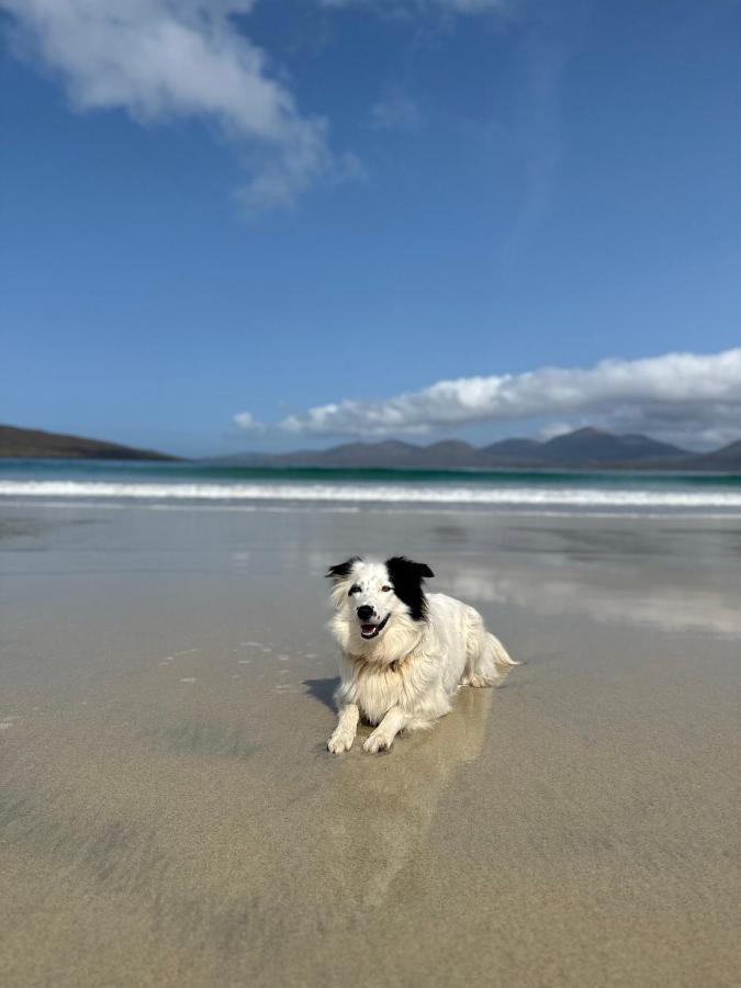 Kinnoull House Near Stornoway Hot-Tub Sauna Pet Friendly Garrabost ภายนอก รูปภาพ